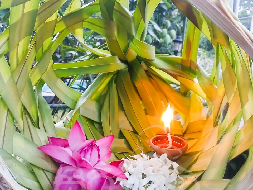 WhatsApp Image 2025-05-08 at 1.54.42 PM